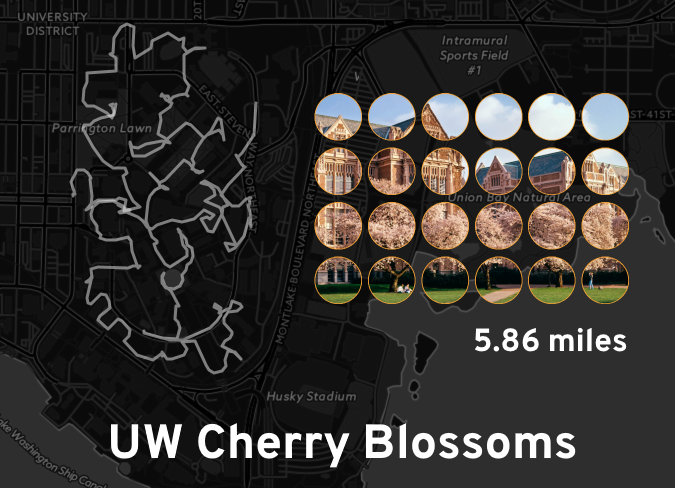 Ingress mosaic map of the 'UW Cherry Blossoms' mission.