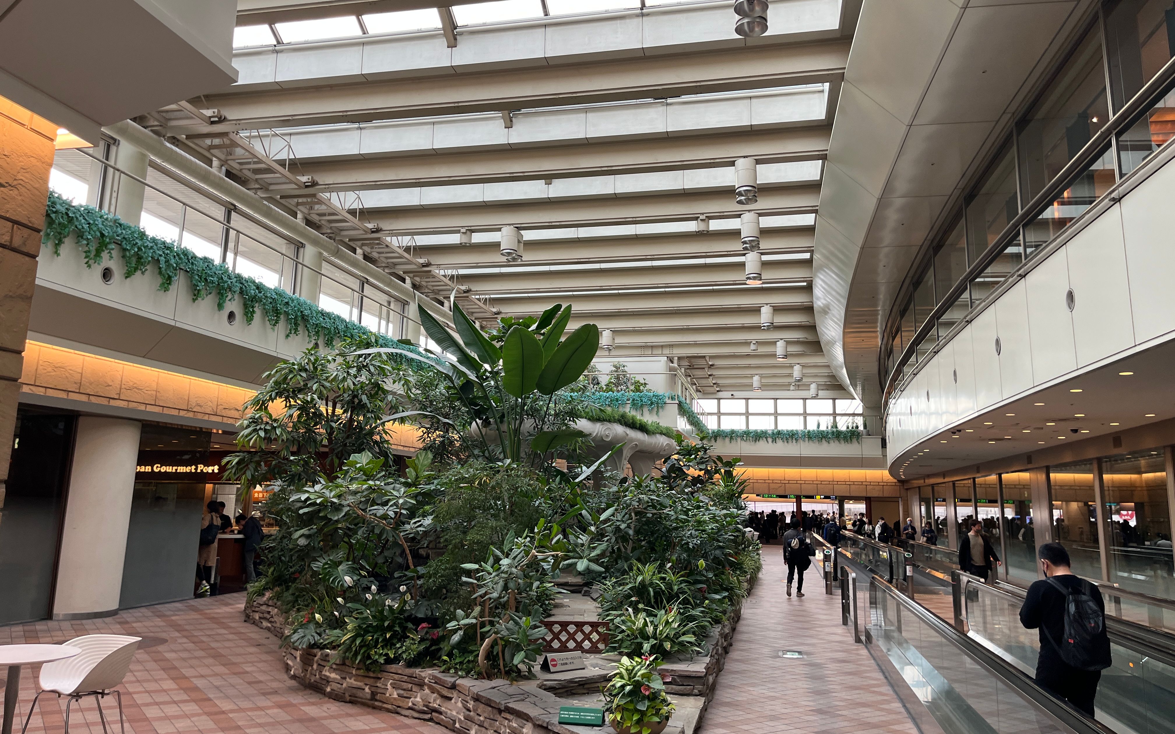 A two-story atrium containing a garden with live plants.