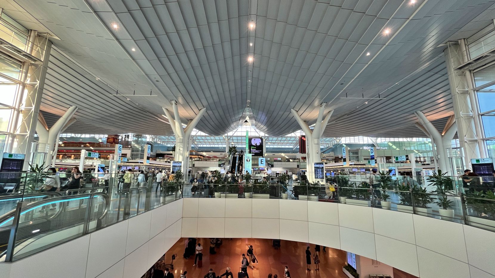 A large airy atrium with a curved roofline.