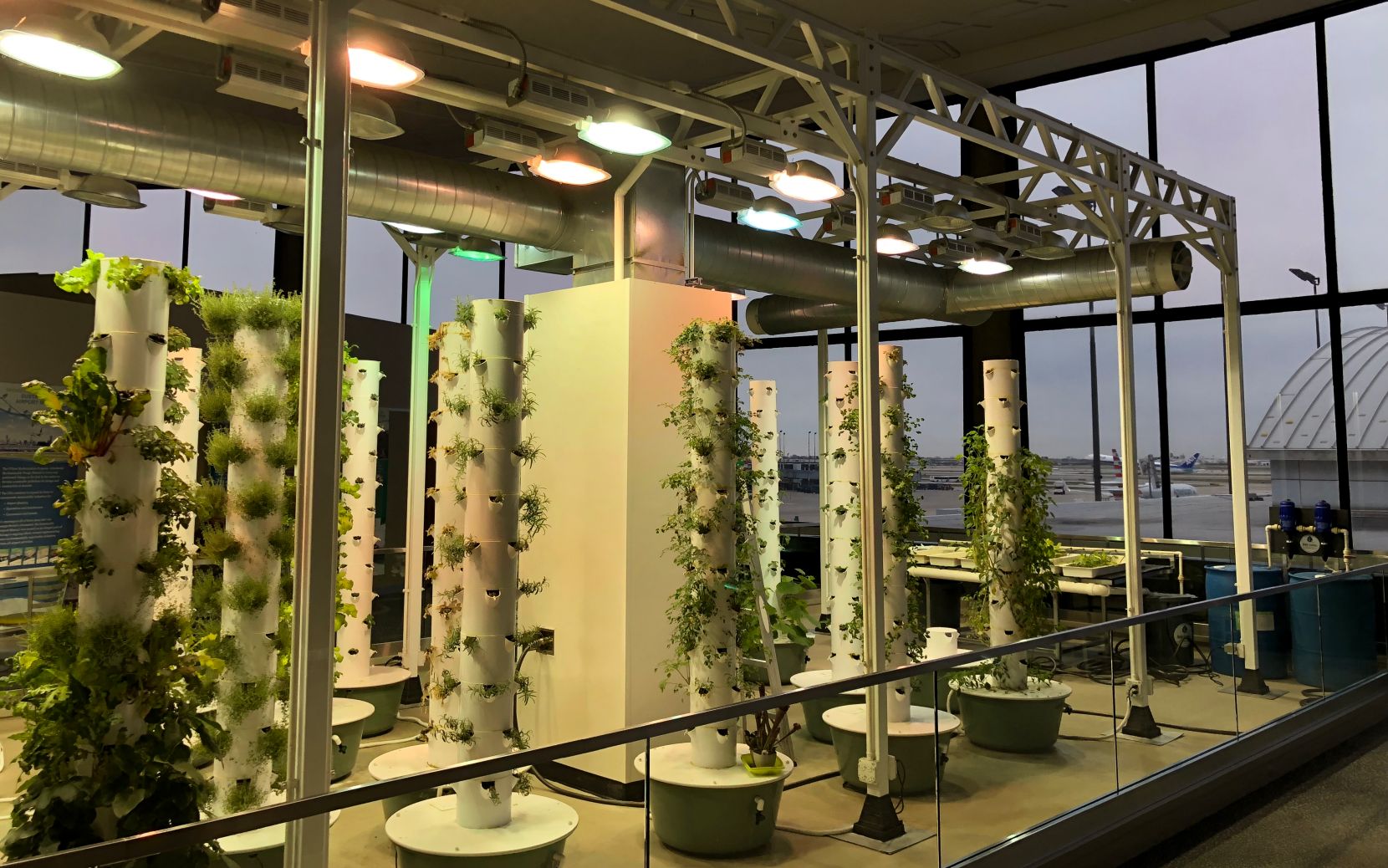 Hydroponic garden columns.