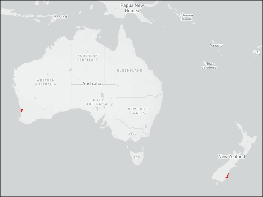Map showing my 2010-2019 driving routes in Australia and New Zealand.